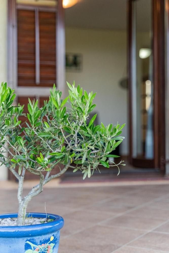 Apartment Elio 1606 Labin  Exterior photo